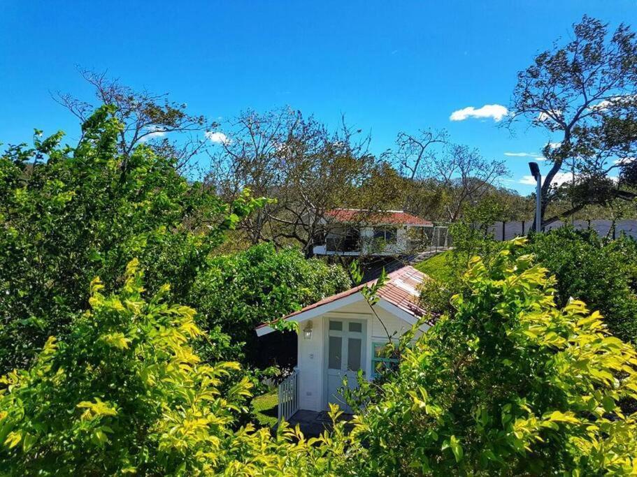 Villa Gacri, Para 21 Personas Orotina Exterior foto